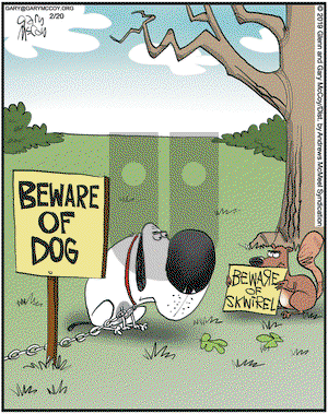 The Flying McCoys on Wednesday February 20, 2019 Comic Strip