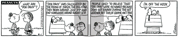 Peanuts on Monday August 1, 1966 Comic Strip