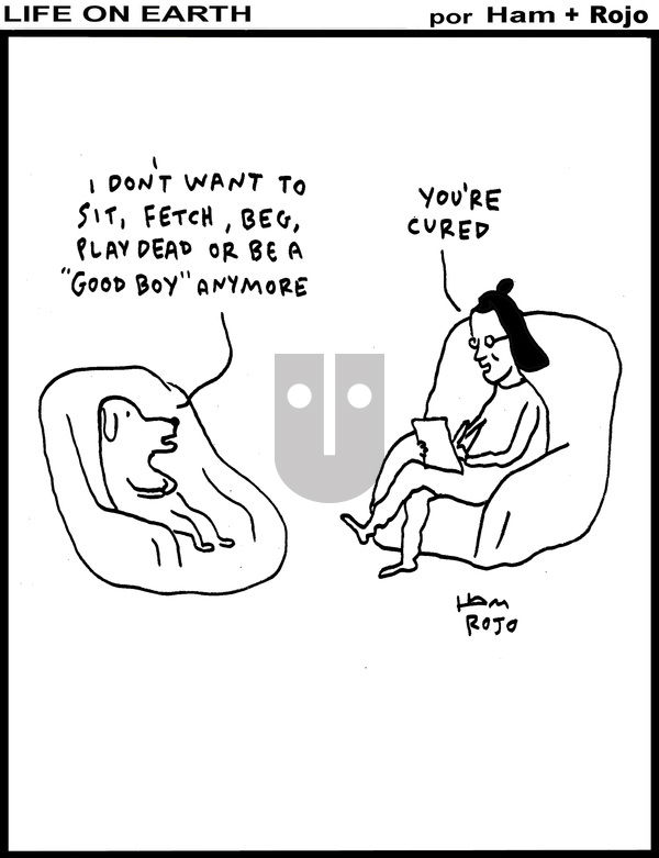Life on Earth on Sunday June 8, 2025 Comic Strip