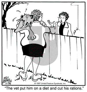 Marmaduke on Wednesday November 26, 1997 Comic Strip