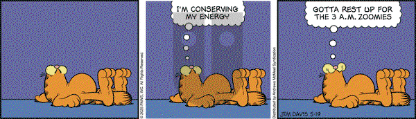 Garfield on 2025-05-19 Comic Strip