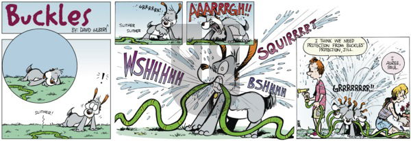 Buckles on Sunday July 27, 2025 Comic Strip