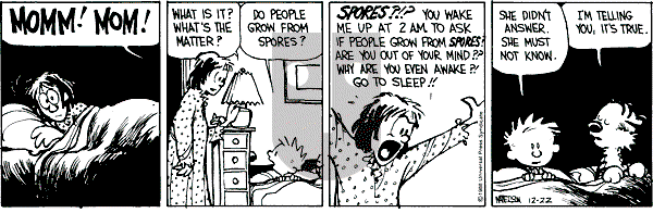 Calvin and Hobbes - Thursday December 22, 1988 Comic Strip
