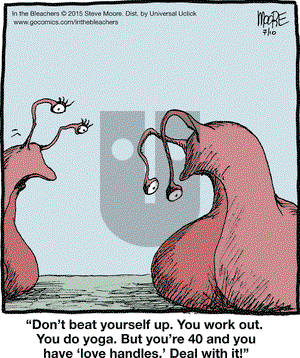 In the Bleachers on Friday July 10, 2015 Comic Strip