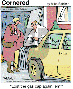 Cornered on Tuesday December 29, 2020 Comic Strip