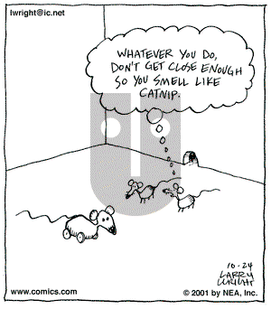 Kit 'N' Carlyle on Wednesday December 5, 2001 Comic Strip
