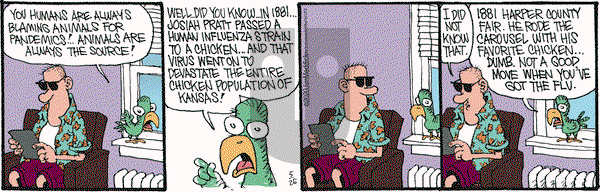 Monty on Tuesday May 26, 2020 Comic Strip