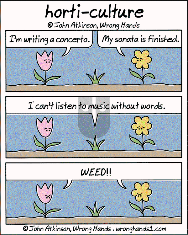 Wrong Hands on Tuesday May 20, 2025 Comic Strip