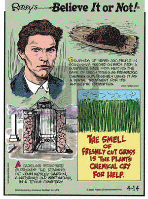 Ripley's Believe It or Not on Tuesday April 14, 2020 Comic Strip