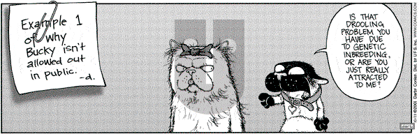 Get Fuzzy on Tuesday October 23, 2001 Comic Strip