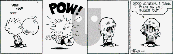 Calvin and Hobbes - Wednesday August 25, 2021 Comic Strip