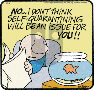 Ziggy on Tuesday August 25, 2020 Comic Strip
