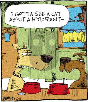 Reality Check on Monday June 11, 2012 Comic Strip