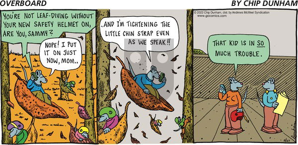 Overboard - Sunday November 27, 2022 Comic Strip