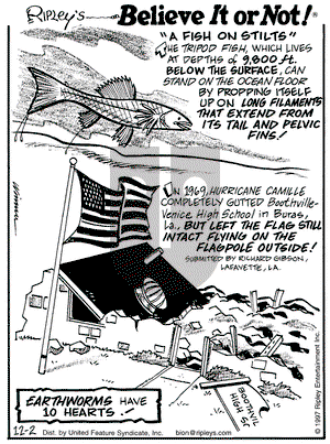 Ripley's Believe It or Not on Tuesday December 2, 1997 Comic Strip