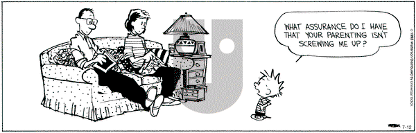 Calvin and Hobbes - Friday July 12, 2013 Comic Strip