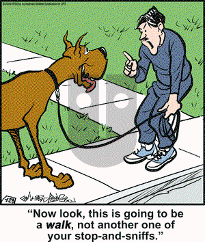 Marmaduke - Tuesday July 23, 2024 Comic Strip