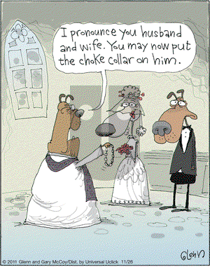 The Flying McCoys on Saturday November 26, 2011 Comic Strip