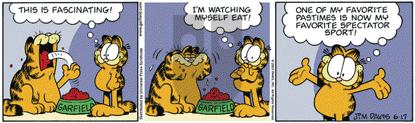 Garfield - Tuesday June 17, 2003 Comic Strip