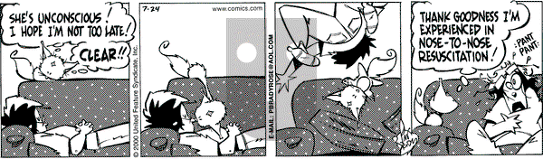 Rose is Rose - Monday July 24, 2000 Comic Strip