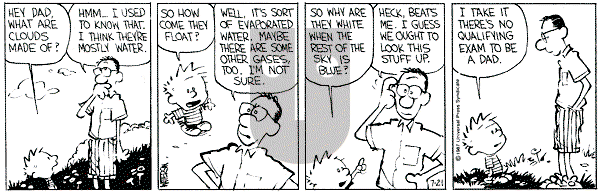 Calvin and Hobbes - Tuesday July 21, 1987 Comic Strip