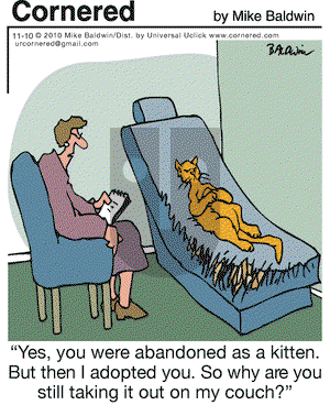 Cornered on Wednesday November 10, 2010 Comic Strip