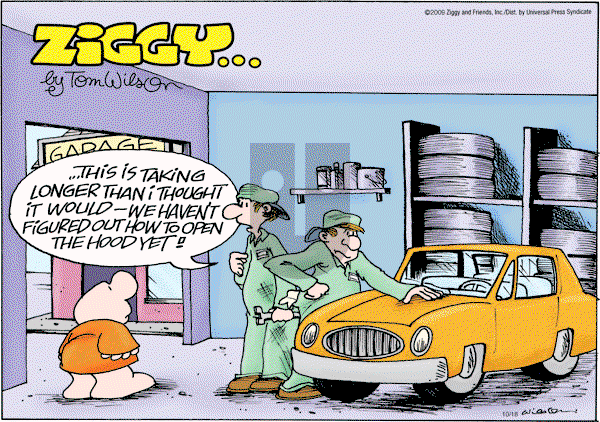 Ziggy - Sunday October 18, 2009 Comic Strip