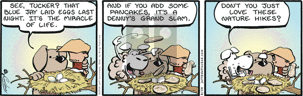 DeFlocked on Saturday August 29, 2009 Comic Strip