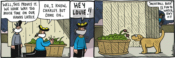 Overboard on Tuesday June 23, 2020 Comic Strip