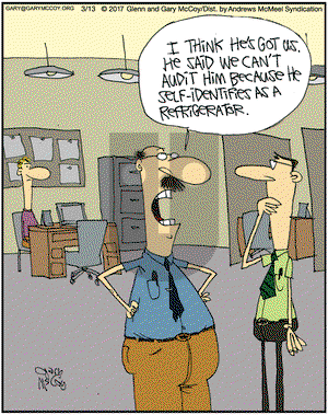 The Flying McCoys on Monday March 13, 2017 Comic Strip