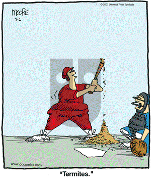 In the Bleachers on Saturday October 20, 2007 Comic Strip