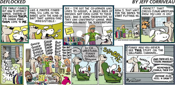 DeFlocked on Sunday July 7, 2013 Comic Strip