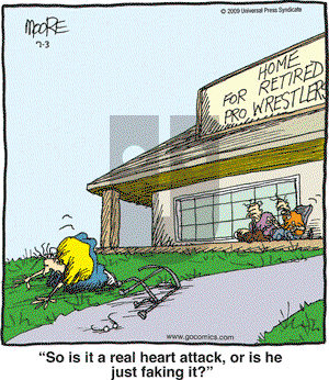 In the Bleachers - Friday July 3, 2009 Comic Strip