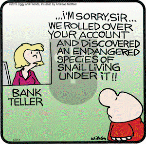 Ziggy on Wednesday December 11, 2019 Comic Strip