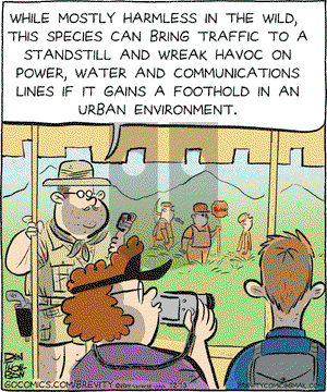 Brevity on Saturday December 13, 2014 Comic Strip
