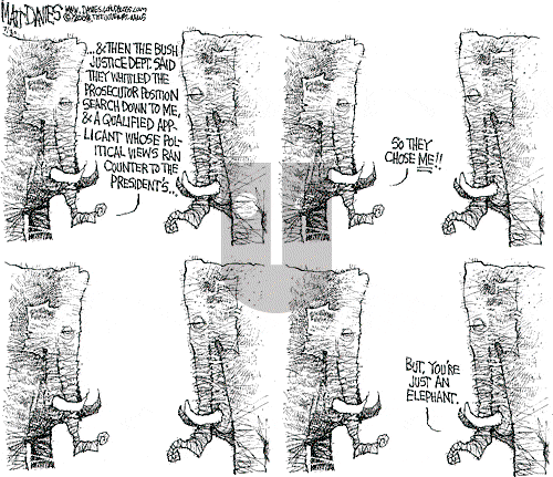 Matt Davies on Wednesday July 30, 2008 Comic Strip