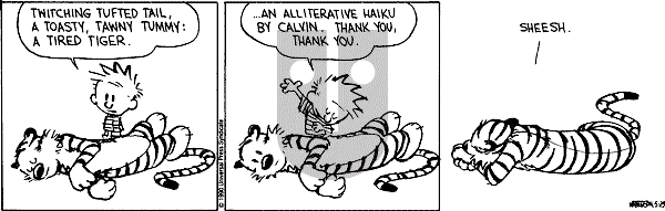 Calvin and Hobbes - Tuesday May 29, 1990 Comic Strip