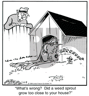 Marmaduke on Tuesday November 9, 1999 Comic Strip
