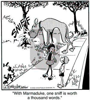 Marmaduke - Friday April 19, 2002 Comic Strip