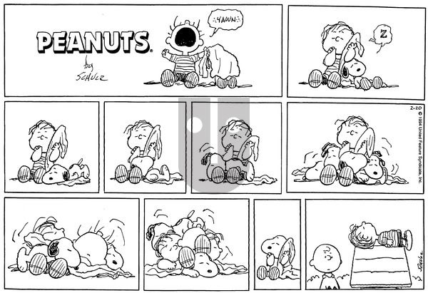 Peanuts on Sunday February 20, 1994 Comic Strip