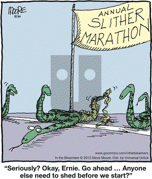 In the Bleachers on Thursday August 30, 2012 Comic Strip
