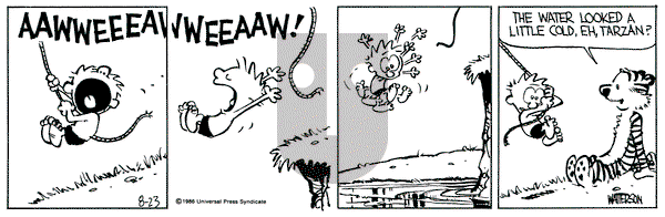 Calvin and Hobbes on Saturday August 23, 1986 Comic Strip