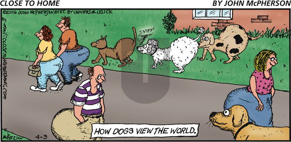 Close to Home on Sunday April 3, 2016 Comic Strip