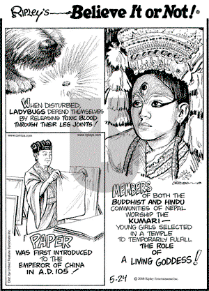 Ripley's Believe It or Not on Saturday May 24, 2008 Comic Strip