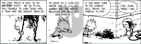 Calvin and Hobbes - Tuesday August 17, 1993 Comic Strip