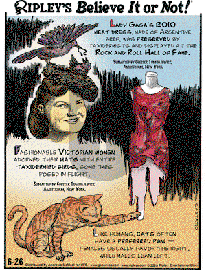 Ripley's Believe It or Not on 2025-06-26 Comic Strip