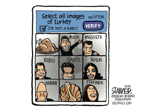 Jeff Stahler on Sunday November 17, 2024 Comic Strip