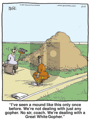 In the Bleachers - Friday May 11, 2007 Comic Strip
