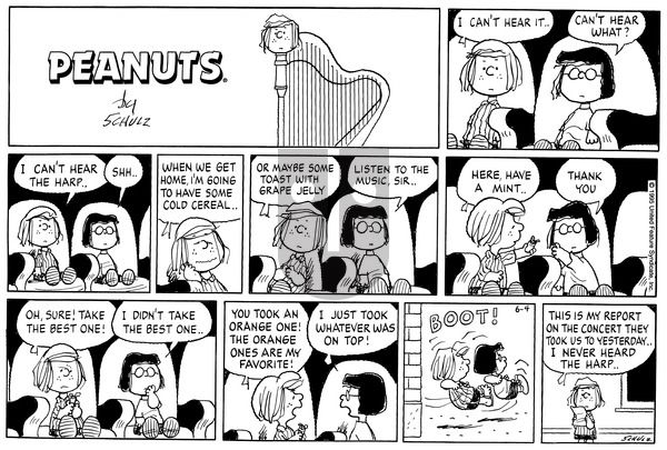 Peanuts on Sunday June 4, 1995 Comic Strip