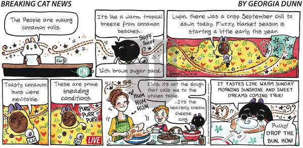 Breaking Cat News on Sunday September 13, 2020 Comic Strip